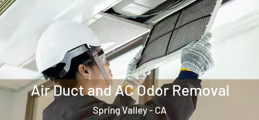 Air Duct and AC Odor Removal Spring Valley - CA