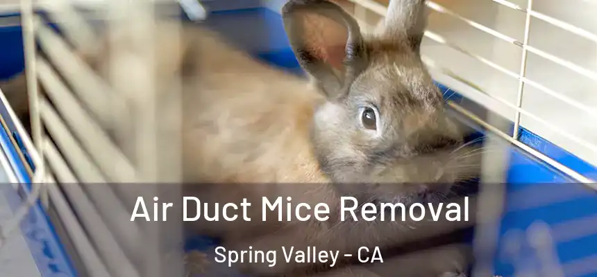 Air Duct Mice Removal Spring Valley - CA
