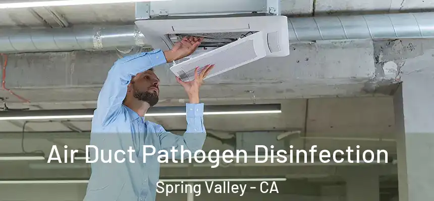 Air Duct Pathogen Disinfection Spring Valley - CA
