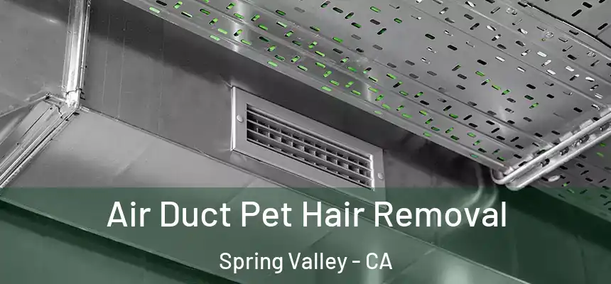 Air Duct Pet Hair Removal Spring Valley - CA