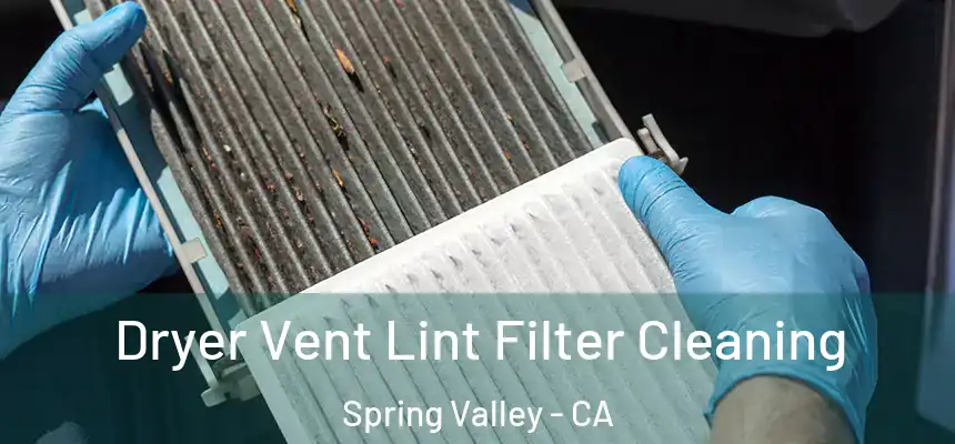Dryer Vent Lint Filter Cleaning Spring Valley - CA