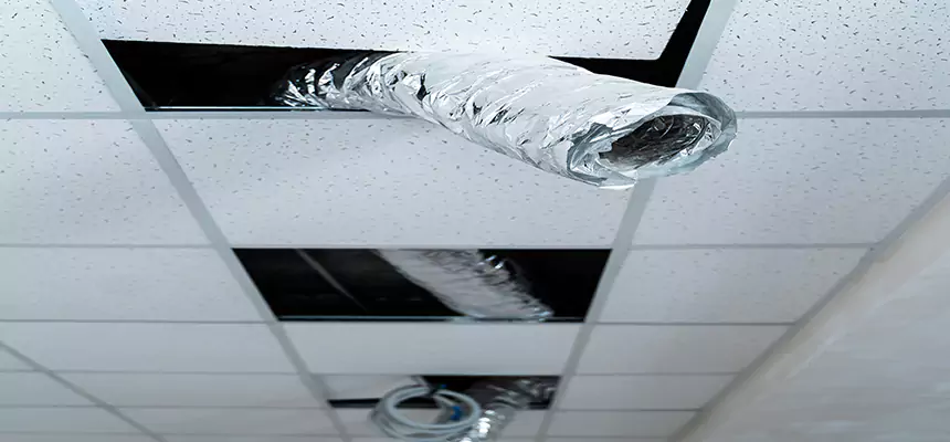 Our Air Duct Pet Hair Removal Services in Spring Valley, CA