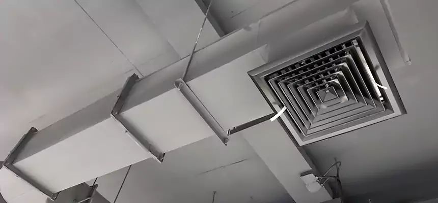 Our Pest Removal From Ducts Services in Spring Valley, CA