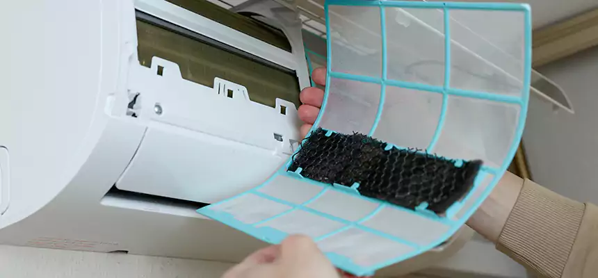 Gentle Ductwork Odor-Control Pet Dander Duct Cleaning in Spring Valley, CA