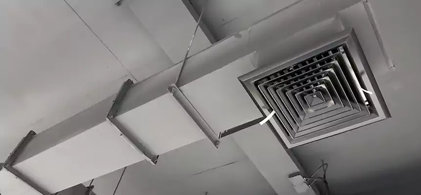 Our Rodent Droppings In Vents Services in Spring Valley, CA