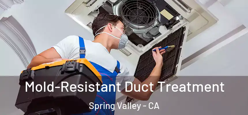 Mold-Resistant Duct Treatment Spring Valley - CA