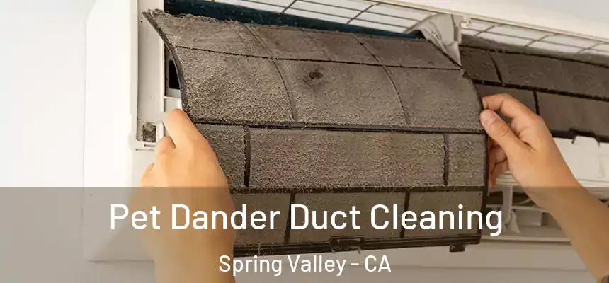 Pet Dander Duct Cleaning Spring Valley - CA