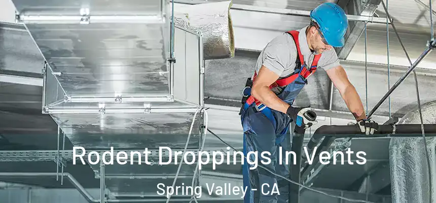  Rodent Droppings In Vents Spring Valley - CA