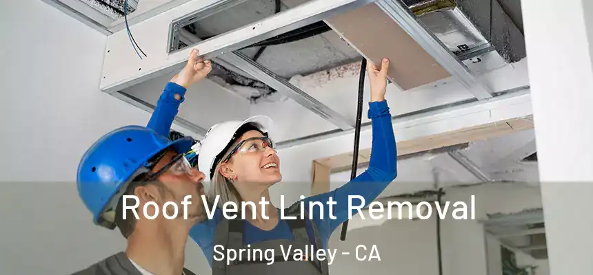Roof Vent Lint Removal Spring Valley - CA