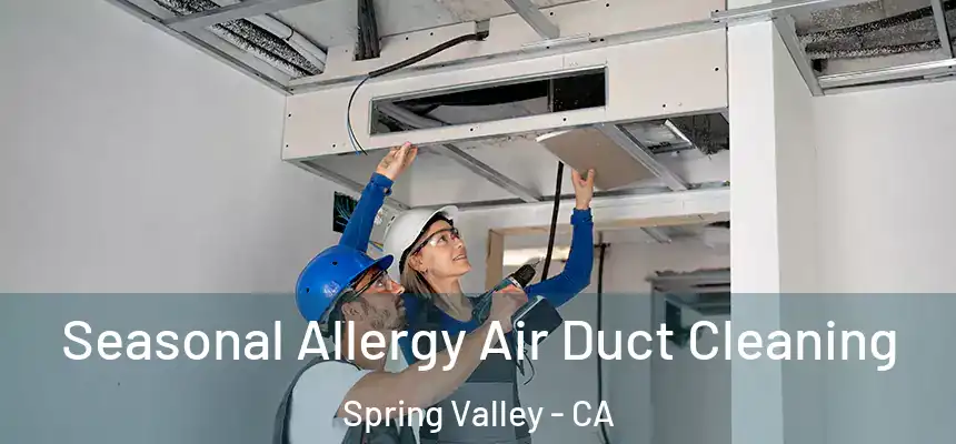 Seasonal Allergy Air Duct Cleaning Spring Valley - CA