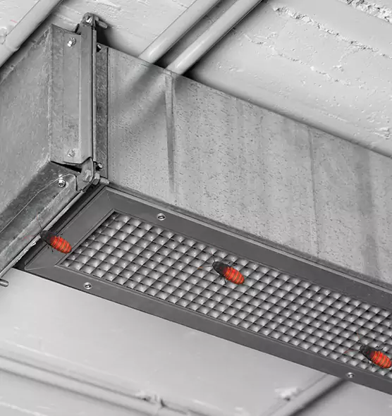 About Air Duct Cockroach Removal in Spring Valley, CA