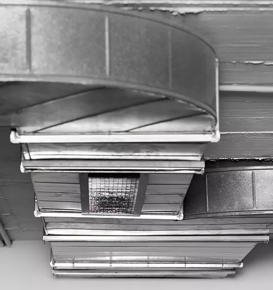 Professional Air Duct Pest Removal in Spring Valley, CA