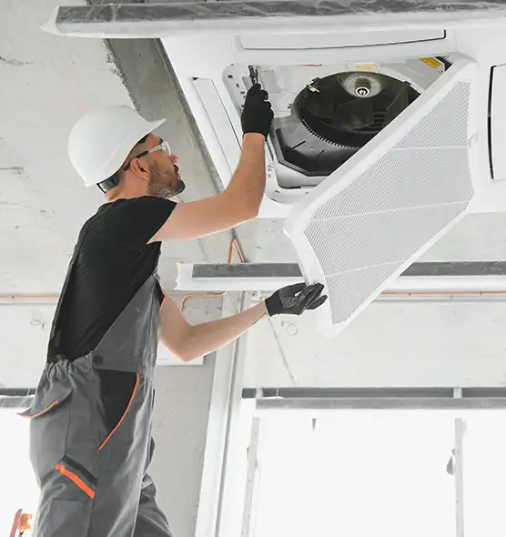 About Air Duct Rodent Removal in Spring Valley, CA