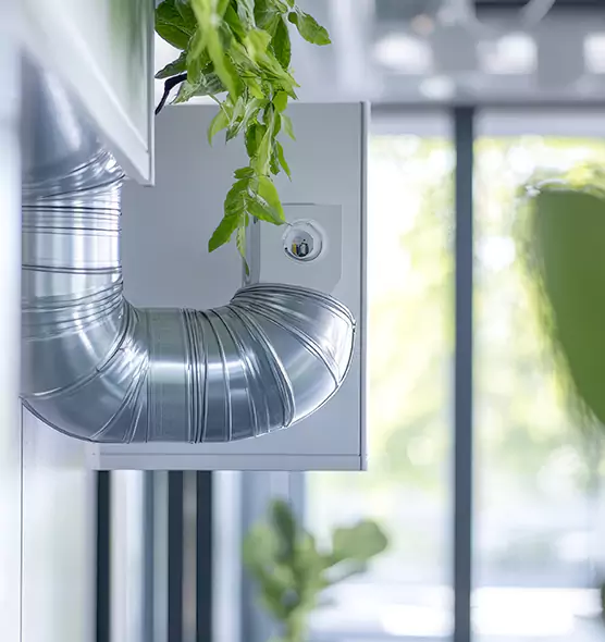 Professional Eco-Friendly Duct Cleaning Services in Spring Valley, CA