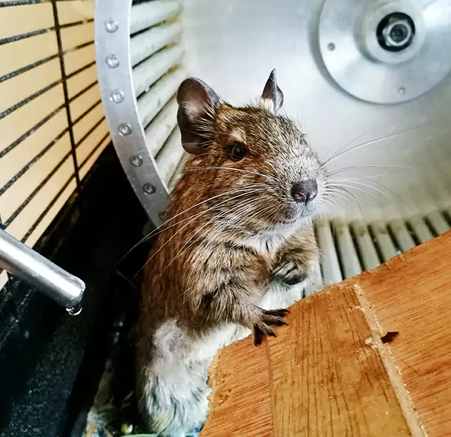 Why Homeowners & Businesses Trust Us Spring Valley, CA?