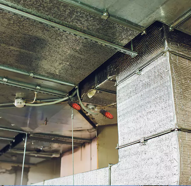 Why Homeowners & Businesses Trust Us Spring Valley, CA?