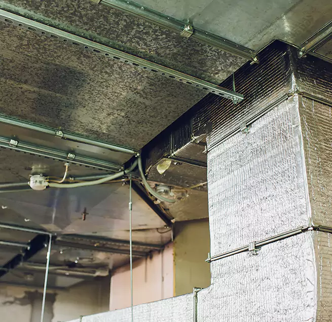 Why Homeowners & Businesses Trust Us in Spring Valley, CA?